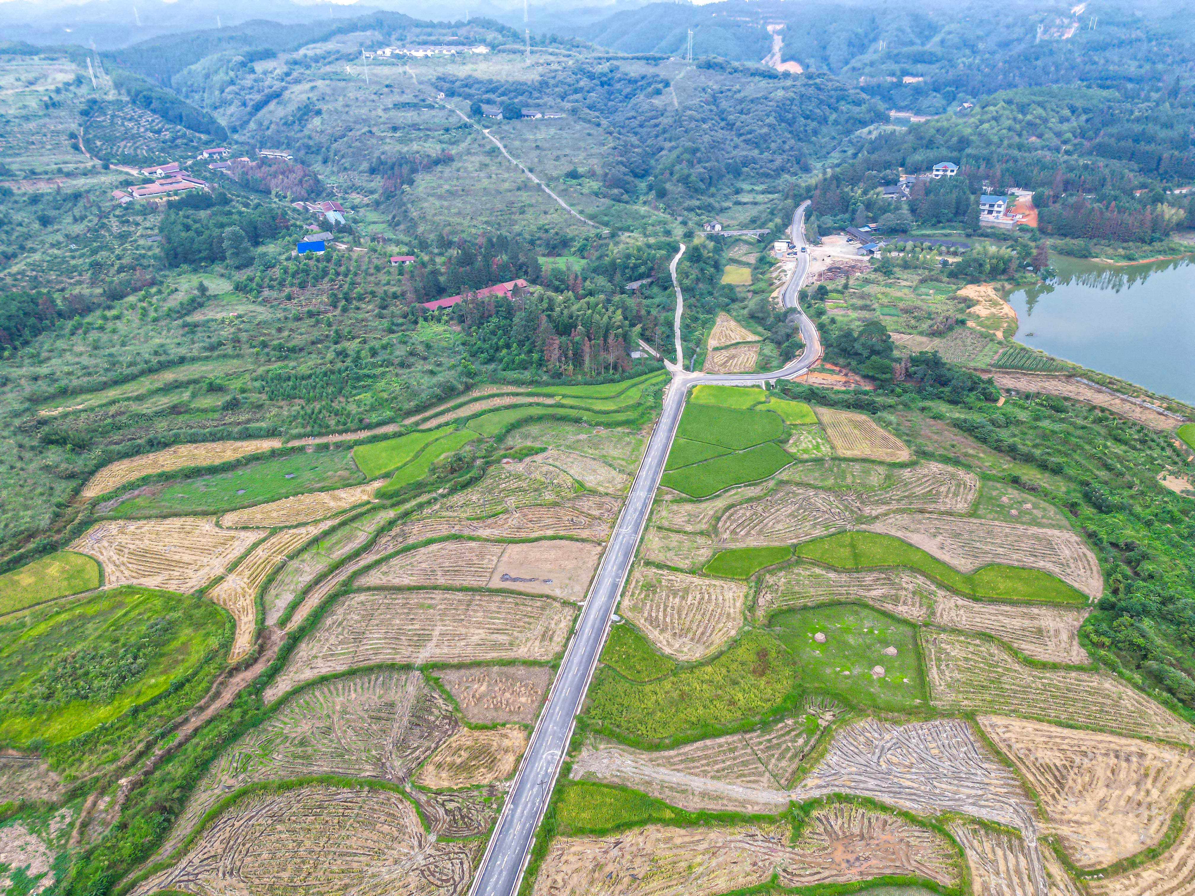 DJI_0126.jpg
