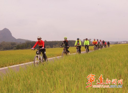 寧遠：稻谷飄香 “豐”景如畫1_副本500.jpg