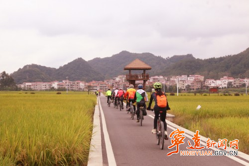 寧遠：稻谷飄香 “豐”景如畫2_副本500.jpg