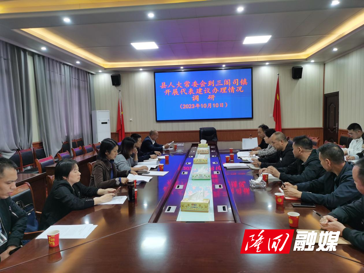隆回县人大常委会到三阁司镇开展代表建议办理情况调研(图1)