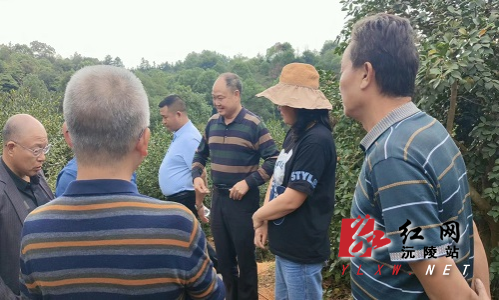 修改尺寸（油茶）.jpg