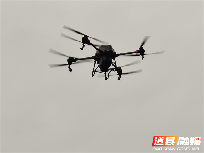 道县梅花镇：无人机金秋播撒紫云英 护了环境肥了田1_副本.png