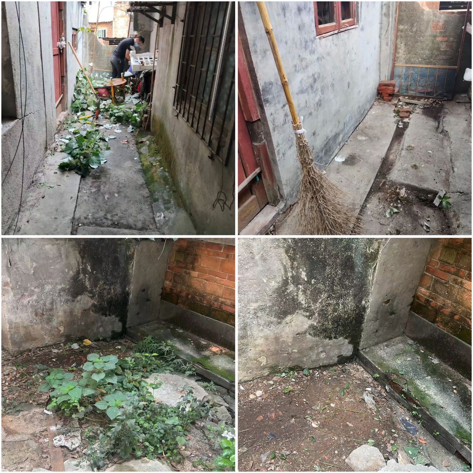 小区环境焕然一新2.jpg