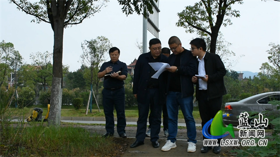 张国材调研土地出让工作.jpg