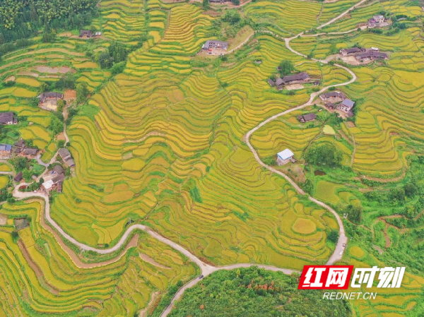 东安：乡村旅游通景路 擘画浪漫“共富图”