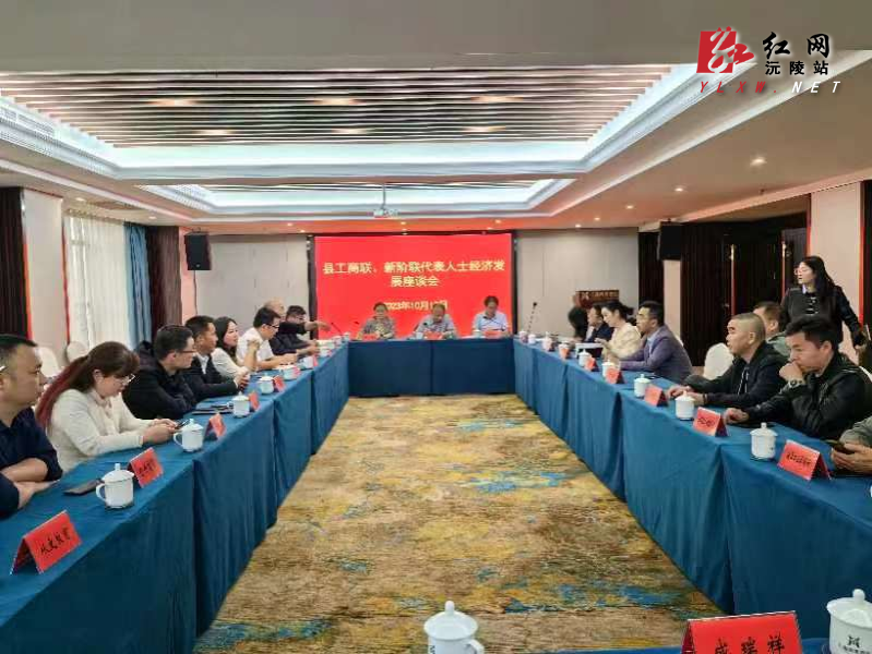 新阶联代表人士经济座谈会.jpeg 新阶联代表人士经济座谈会.jpeg
