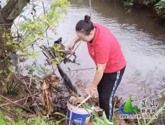 太平圩.jpg 太平圩.jpg