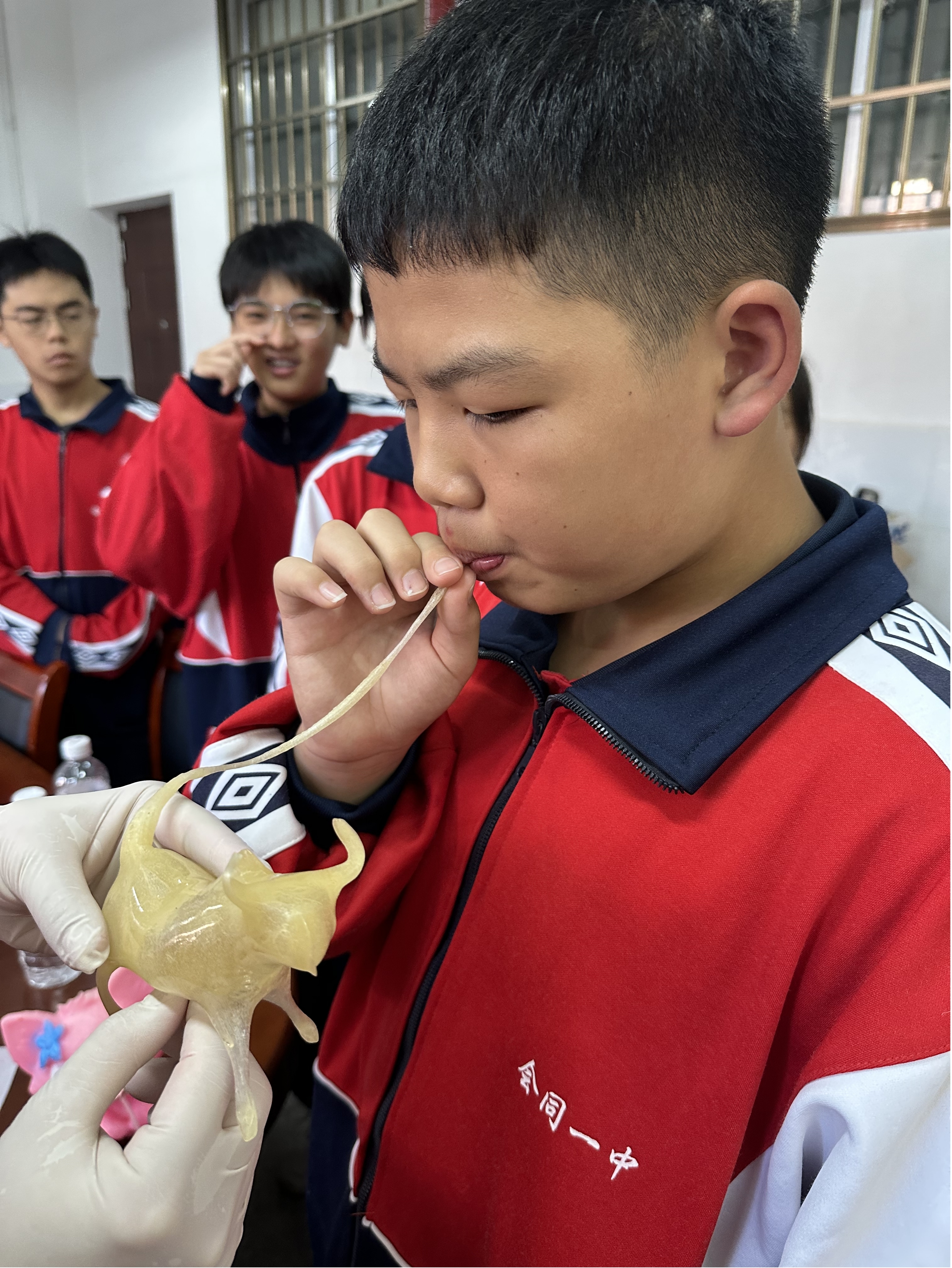 图片4.jpg