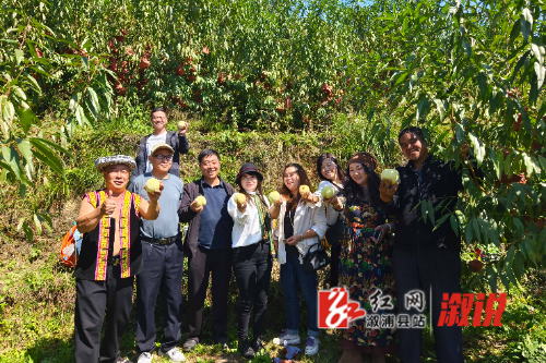 红网稿件图片1.jpg