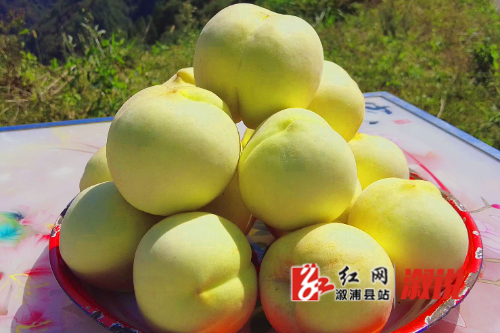 红网稿件图片2.jpg
