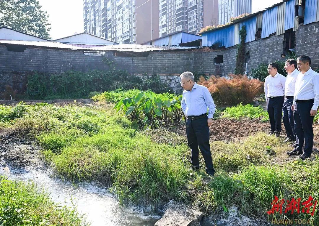 沈晓明在邵阳调研：坚持高质量发展根本导向 推动各项工作在全省争先进位(图7)