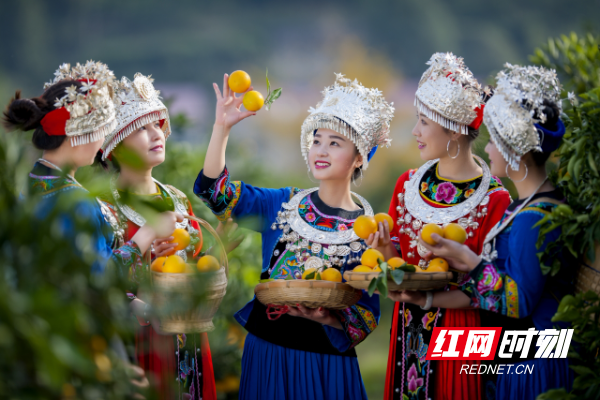 微信图片_20231019081831.jpg