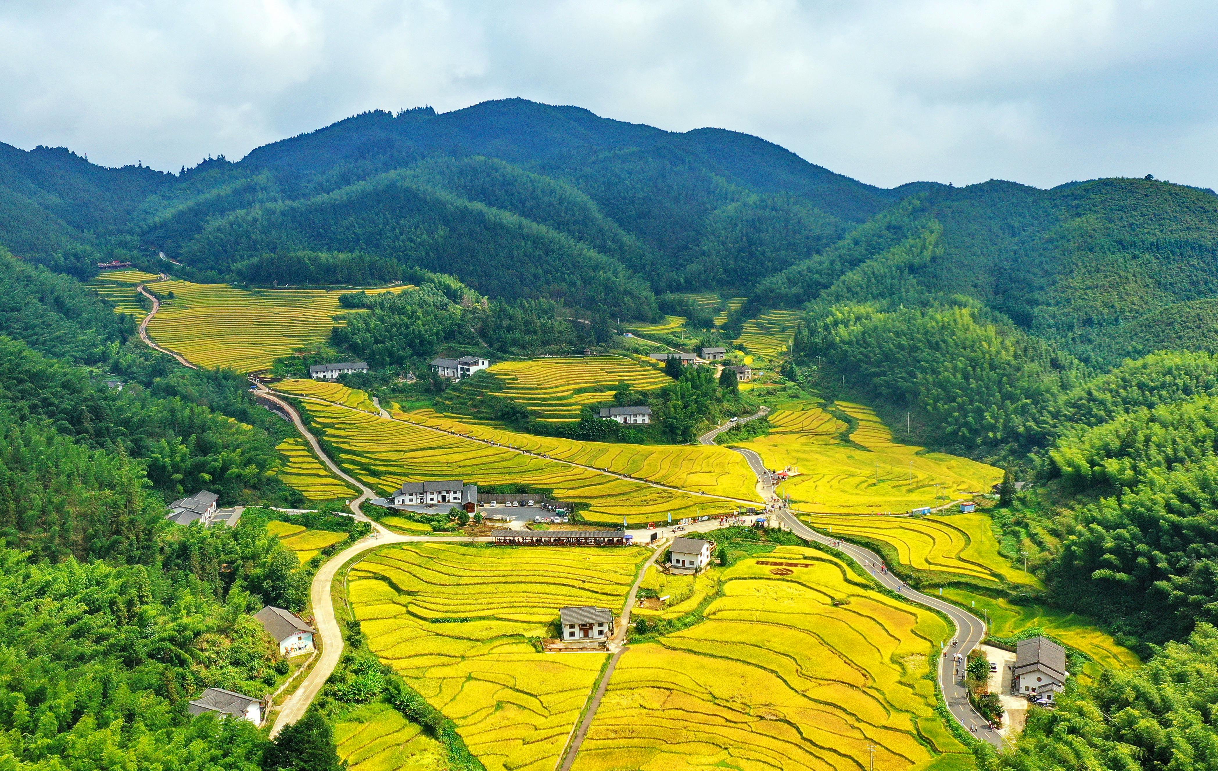 在江西省赣州市崇义县上堡乡，上堡梯田依山蜿蜒、层层叠叠，稻菽飘香，秋风中涌起金黄色的波浪。图片来源：中国气象局
