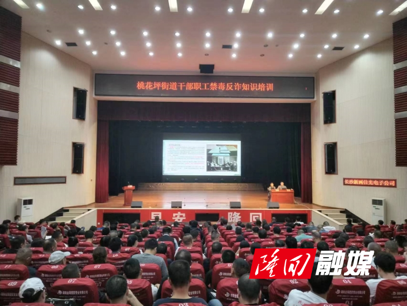 桃花坪街道开展禁毒反诈知识培训(图1)