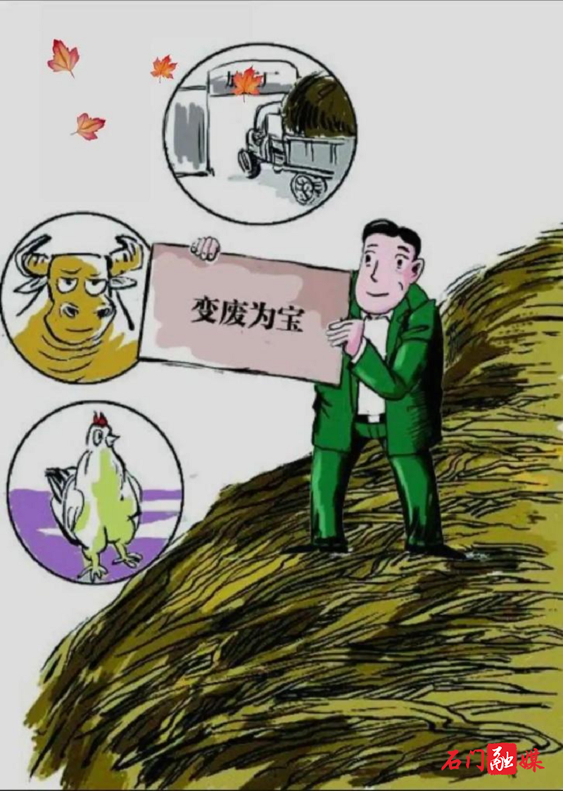 图片8.png