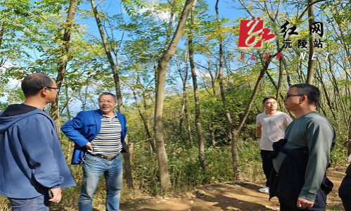 黄柏 修改.jpg