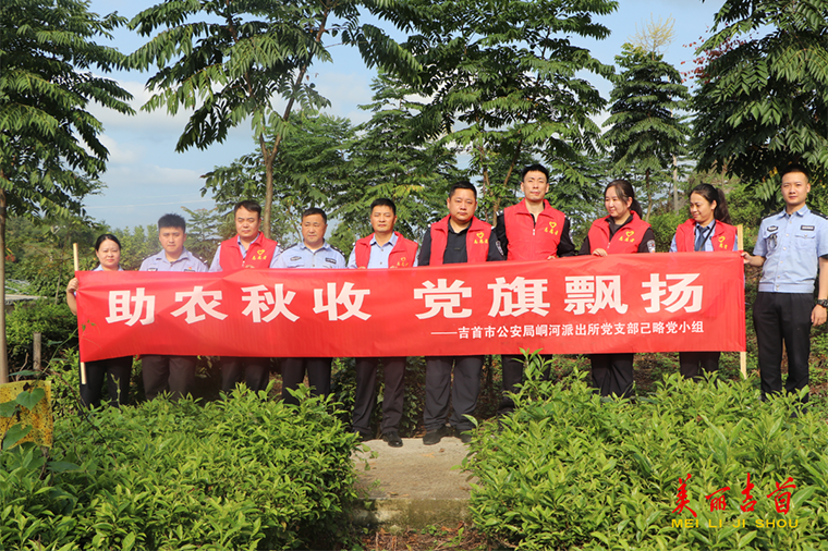 党员干部化身“采茶工” 助农采茶忙.png