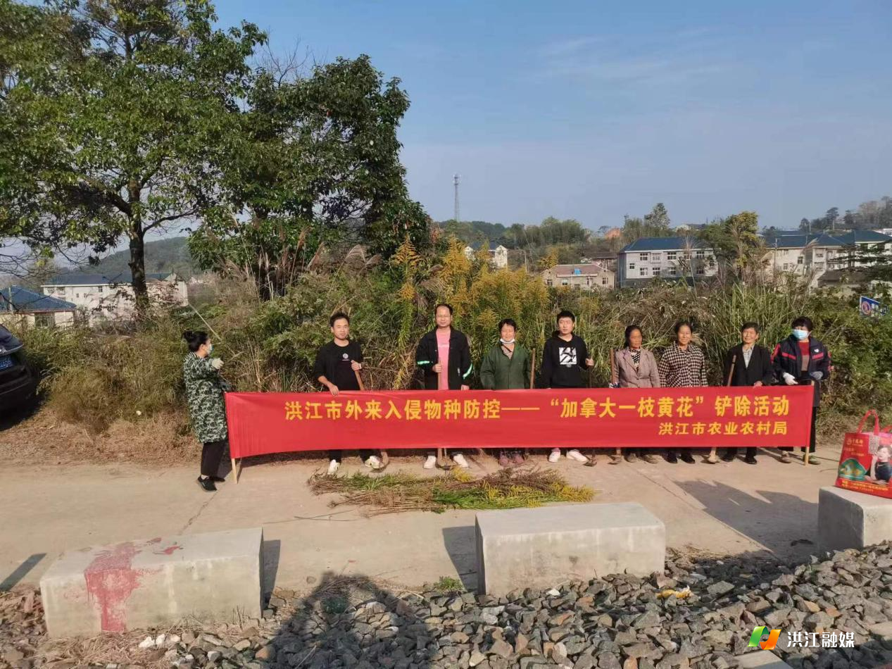 下载.jpg