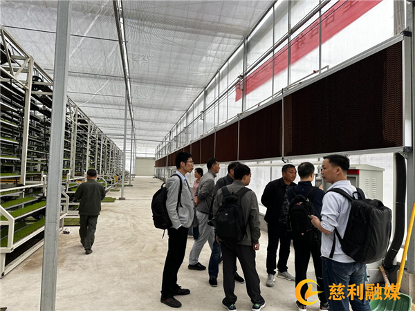 图片 3.jpg