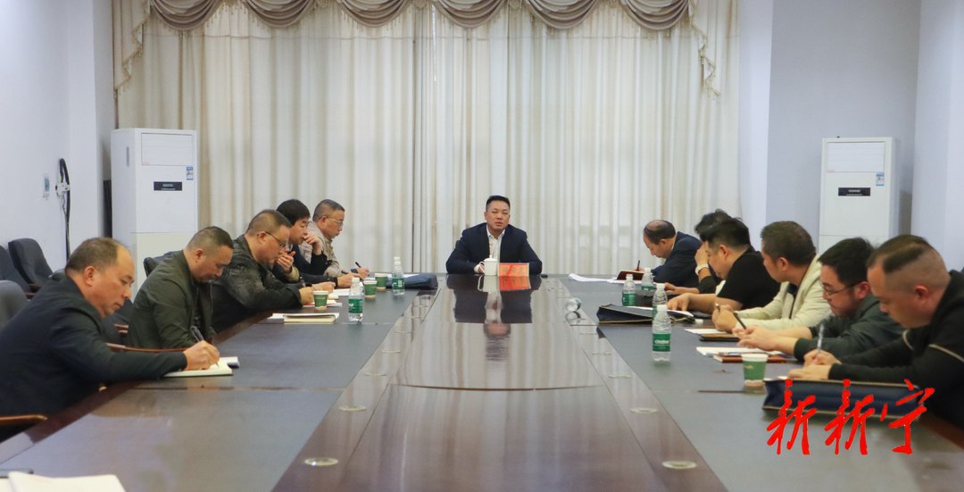 杨云龙主持召开乡村振兴重点工作推进会(图1)