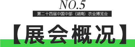 15.png