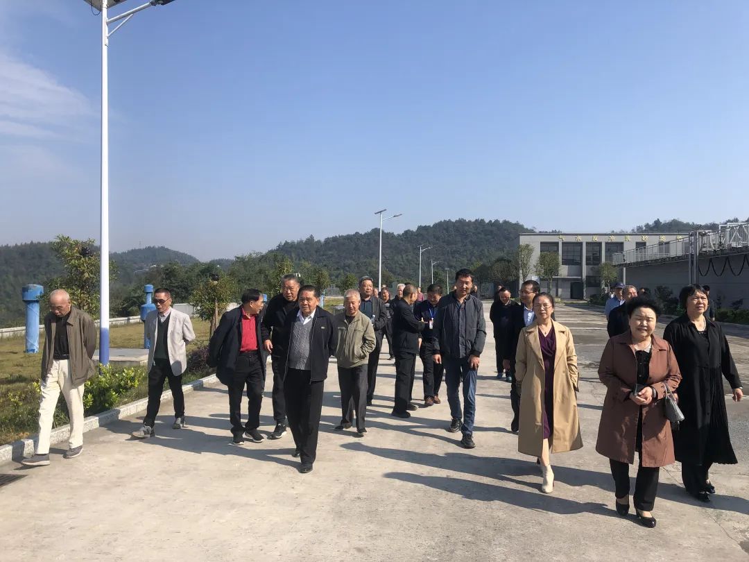 武冈市组织老干部开展重阳节调研活动(图1)