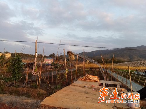 宁远： 消除安全隐患   加强违建巡查“保安全”_副本500.jpg