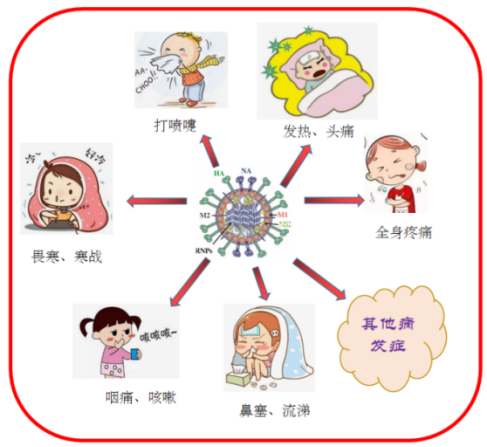 近期我市流感活动水平上升，收藏好预防流感锦囊！281.png