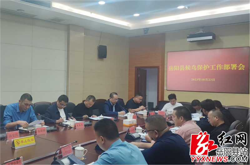 图片2 (10).png