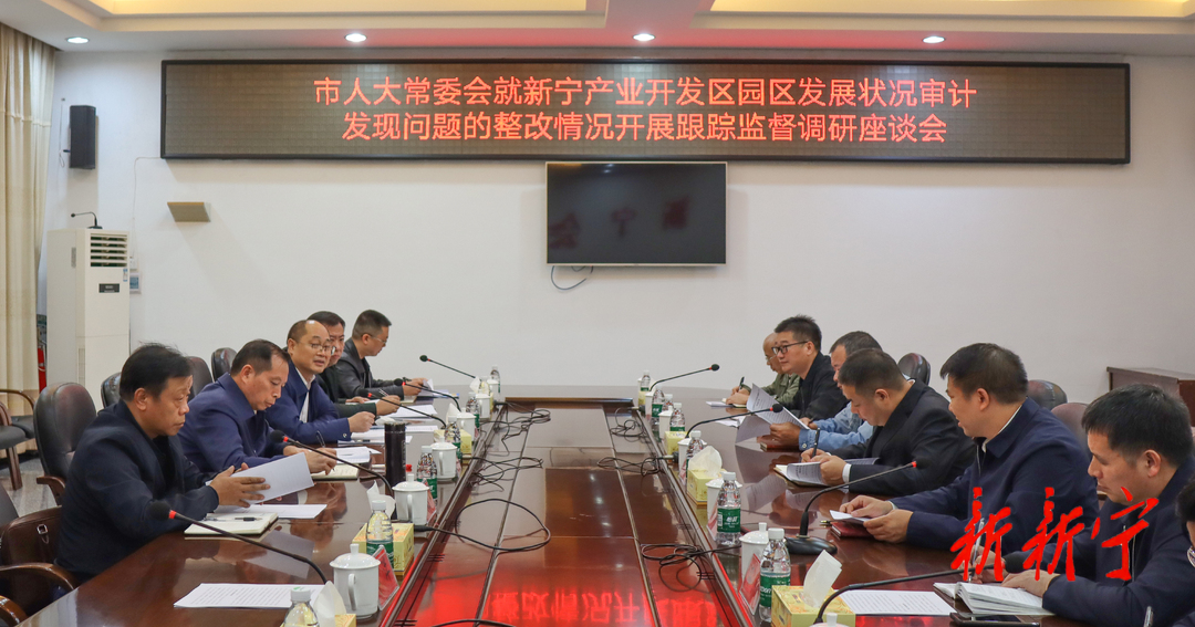 市人大常委会调研新宁产业开发区园区发展工作(图2)