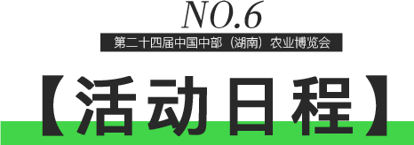17.png