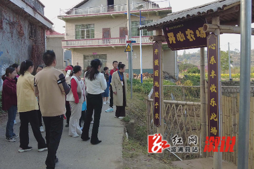 红网稿件图片-恢复的.jpg