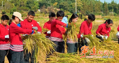 在实践中收获成长  宁远九嶷山迎来“研学热”_副本500.jpg