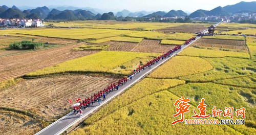 在实践中收获成长  宁远九嶷山迎来“研学热”4_副本500.jpg