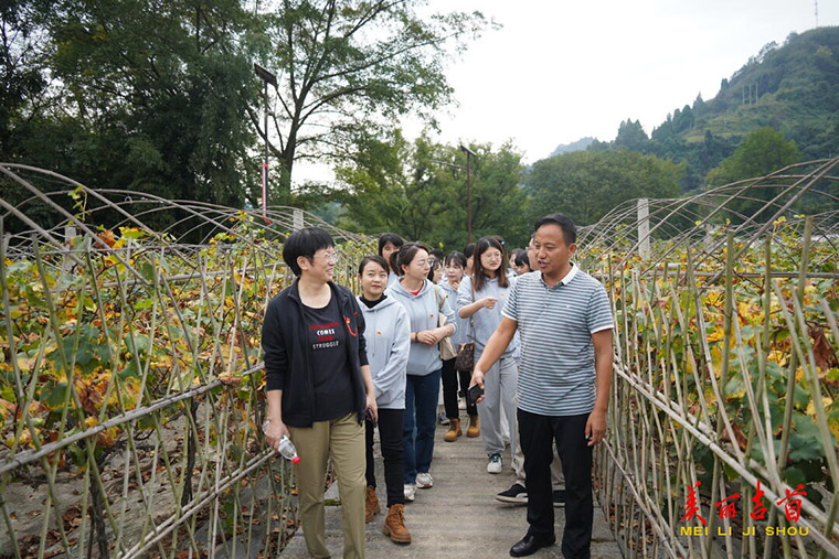 葡萄园里悟发展 实地教学出真经2.jpg