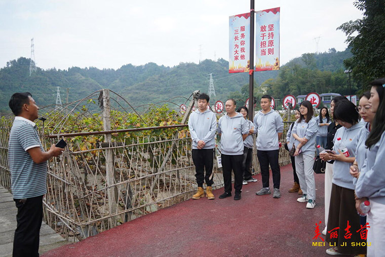 葡萄园里悟发展 实地教学出真经1.jpg