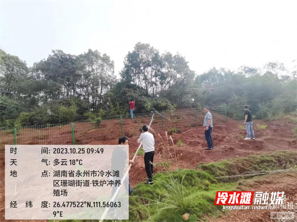 图片0051.png