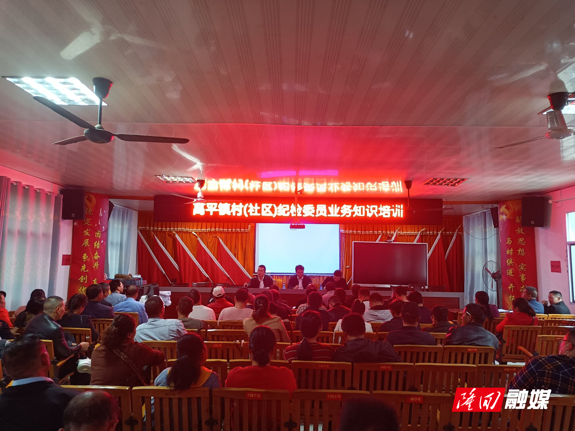 图片1_proc.jpg