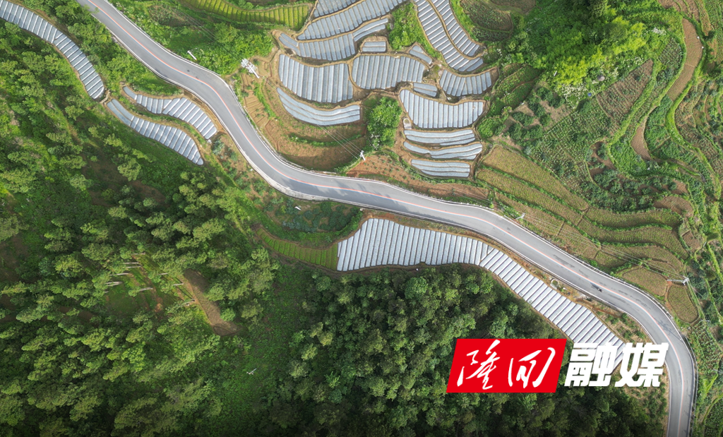 隆回：发挥“好路率”指挥棒作用 助力营商环境优化(图2)
