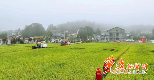 宁远:“村网共建”乡村振兴电力足 主动服务助秋收_副本500.jpg 宁远:“村网共建”乡村振兴电力足 主动服务助秋收_副本500.jpg