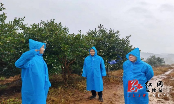 修改 油茶基地.jpg