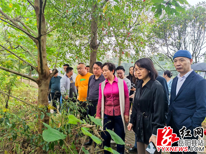 何祚云一行在兴园村小微水体查看问题.jpg