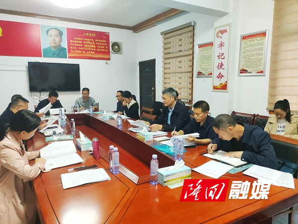 隆回县召开残疾人教育专家委员会会议(图1)