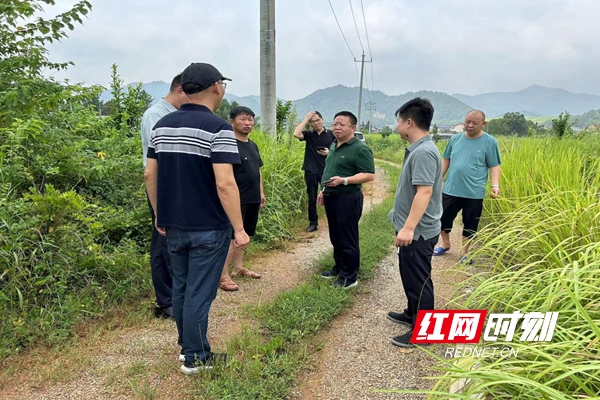 图片4.jpg