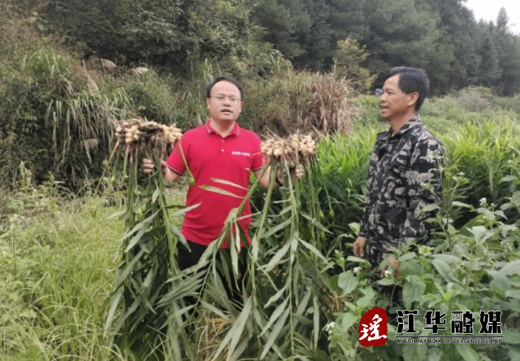 微信截图_20231030153240.png
