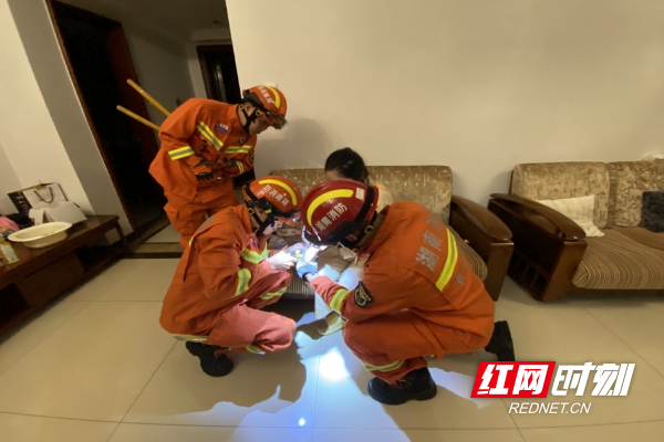 微信截图_20231030205043.png