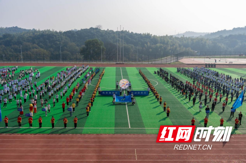 QQ截图20231031101846.png
