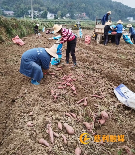 48150efd63d1d74e57cc5cf16c97ec5_副本.jpg
