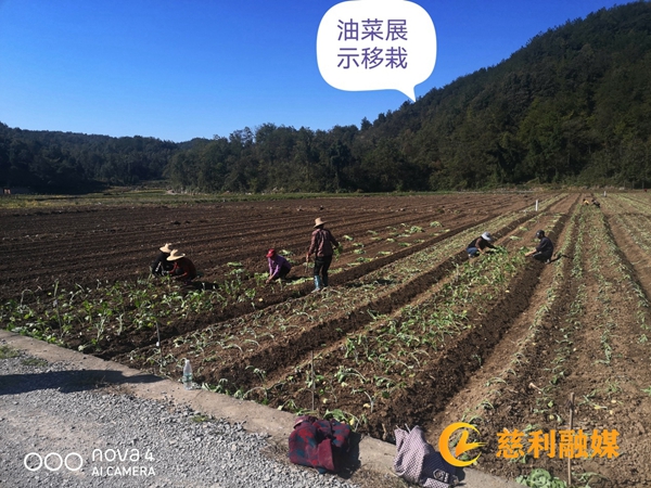 WPS图片(1).jpeg WPS图片(1).jpeg