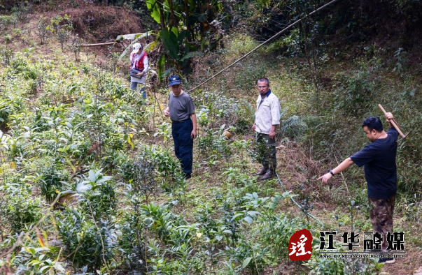 微信截图_20231103175119.png 微信截图_20231103175119.png